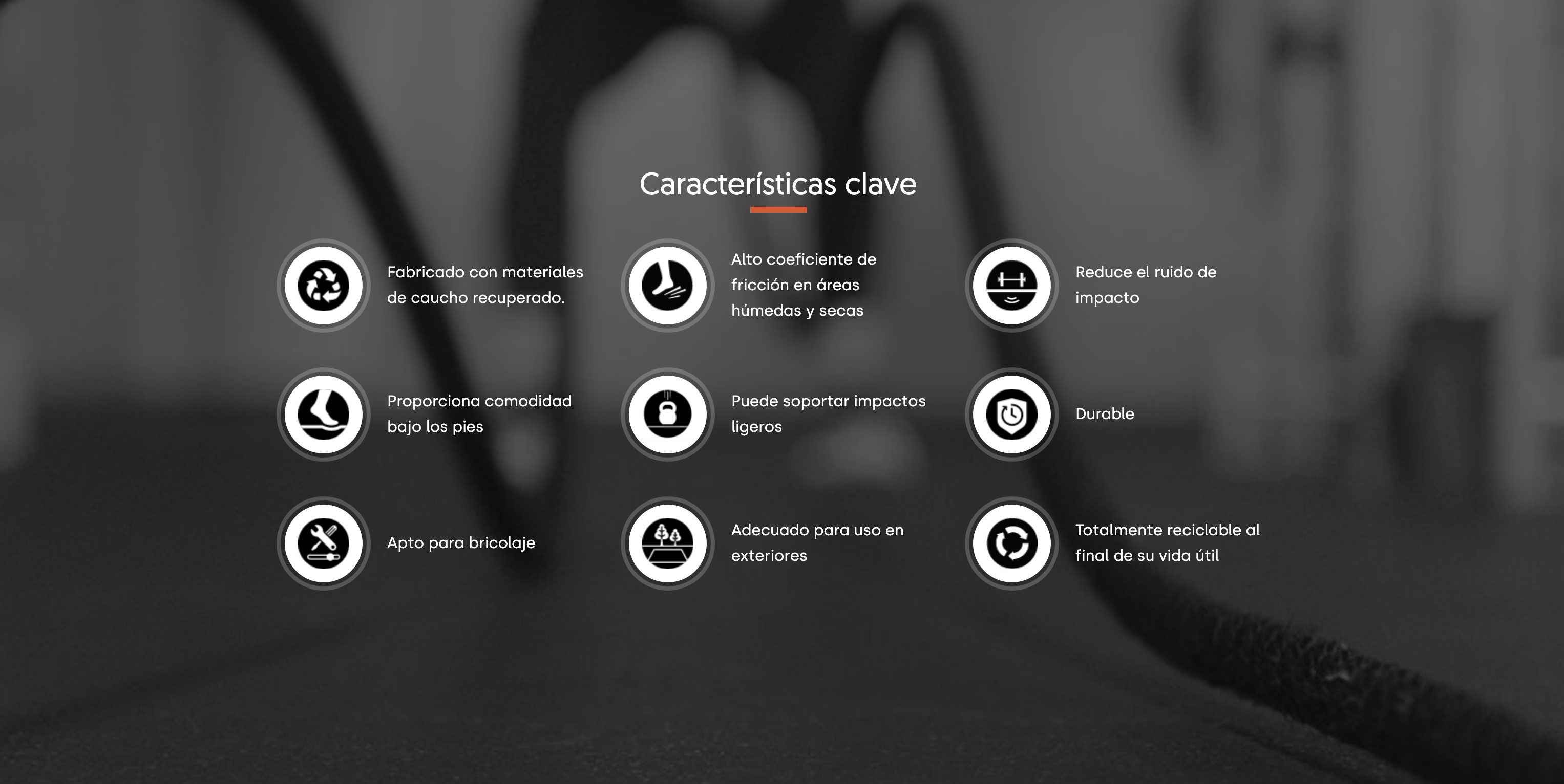 Caracteristicas clave